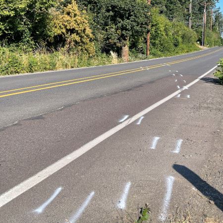 tree lined country road with traffic crash markings